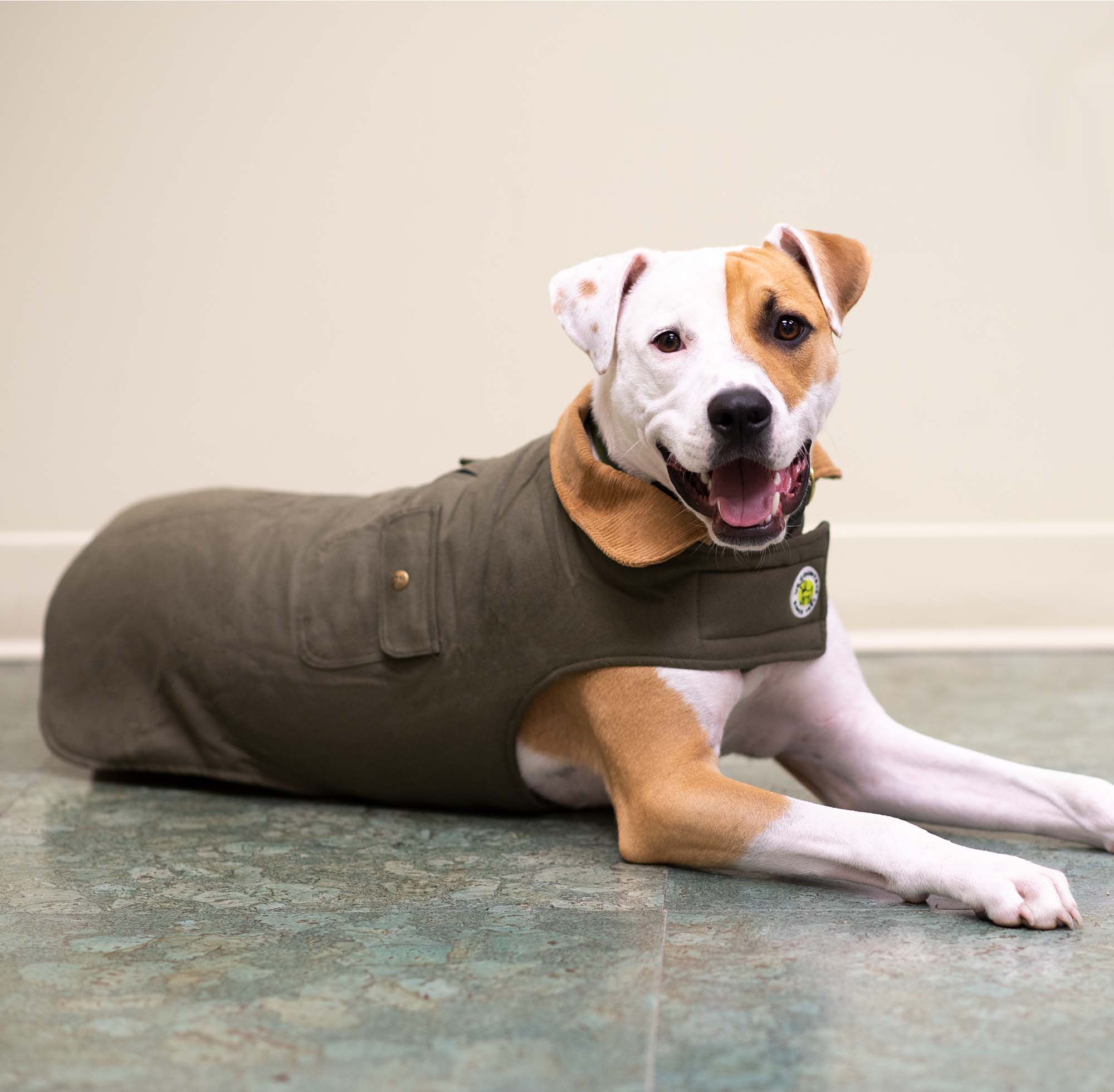 Chester Barn Coat in Green