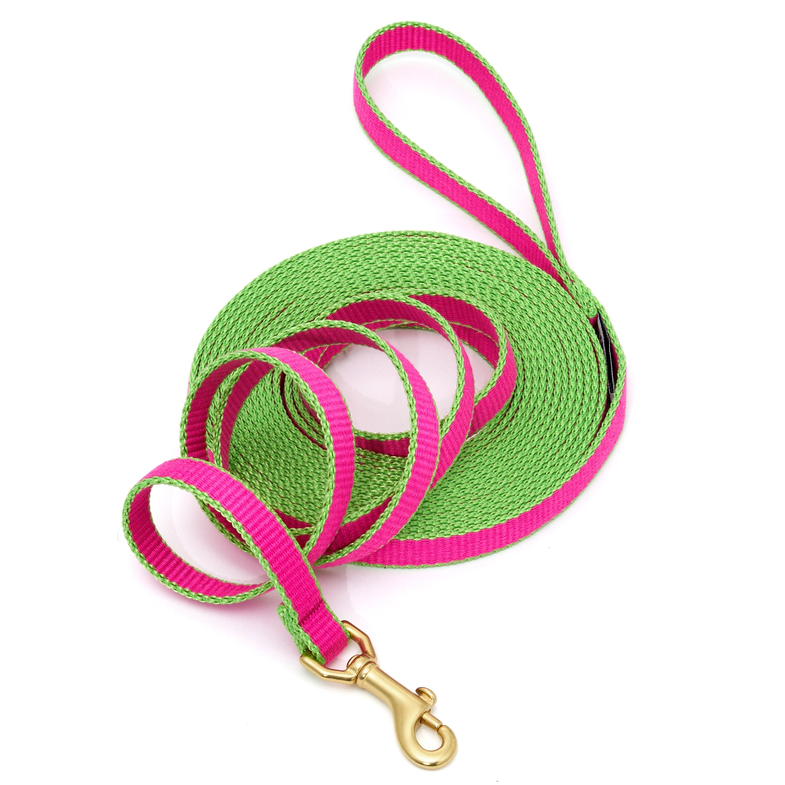 Green Market Dog and Puppy Training Lead