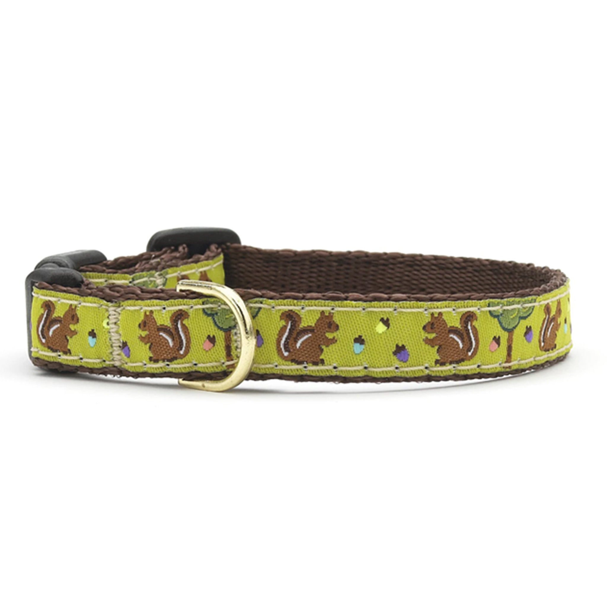 Nuts Small Breed Dog Collar