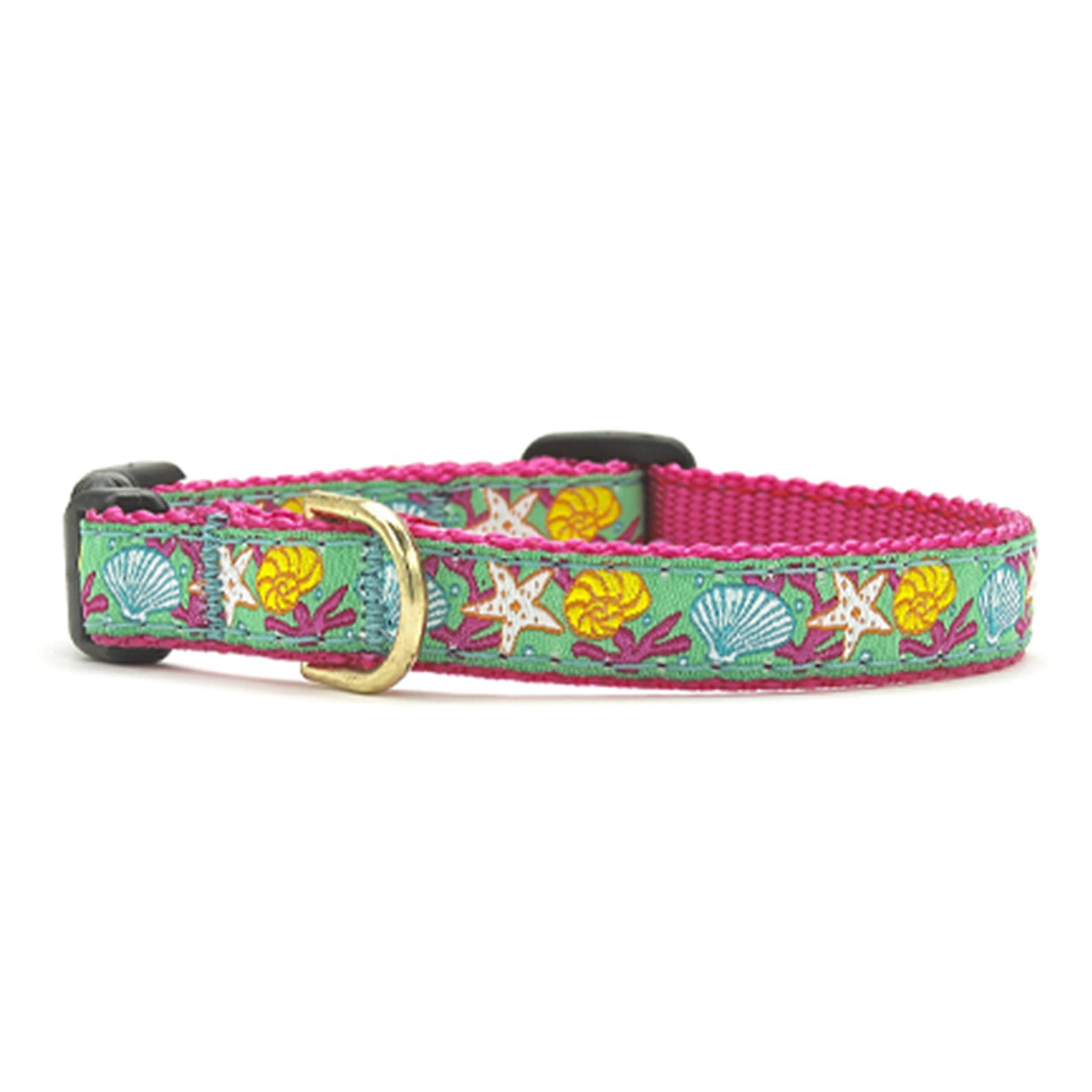 Reef Small Breed Dog Collar