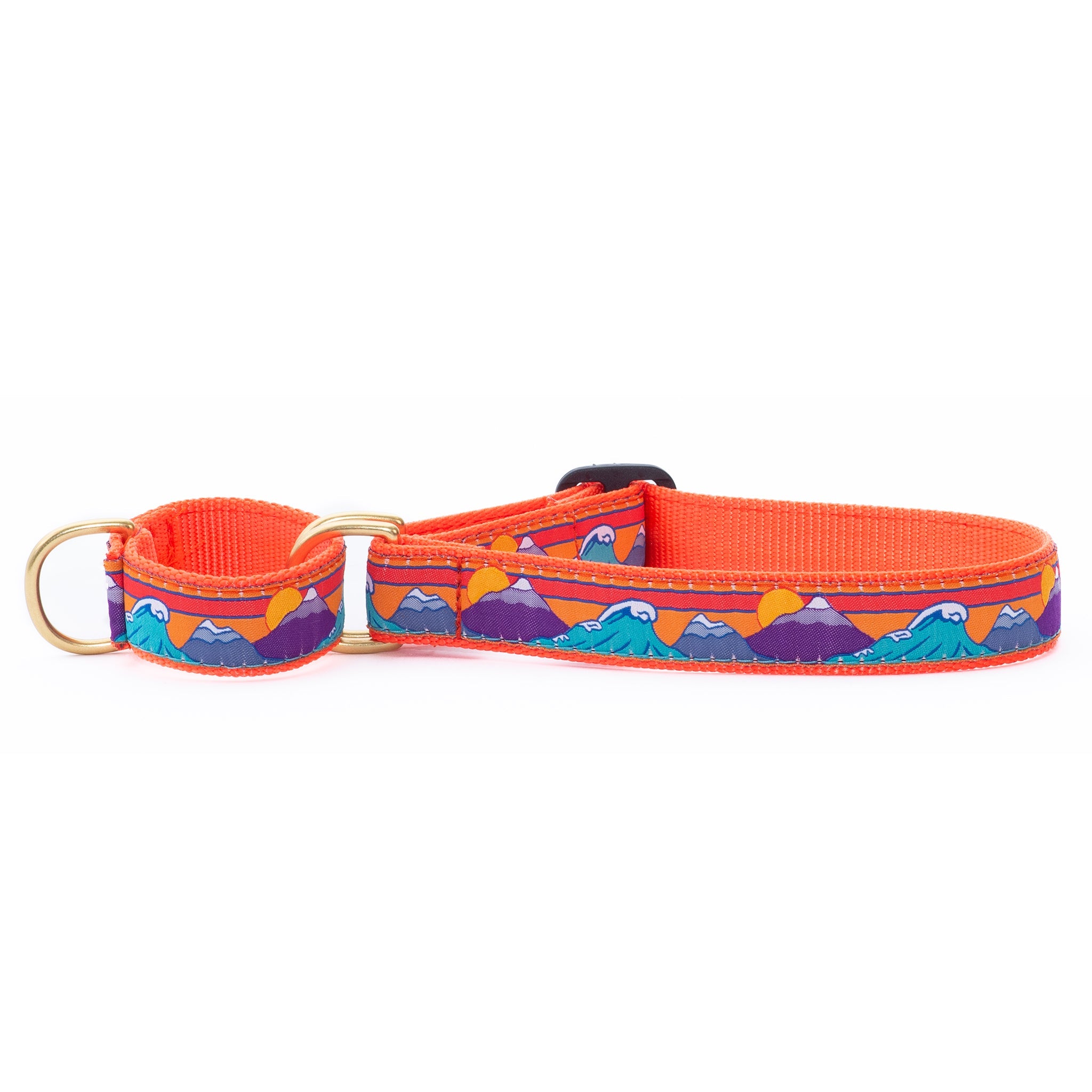 Ski and Surf Martingale Dog Collar