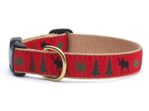 MOOSE DOG COLLAR
