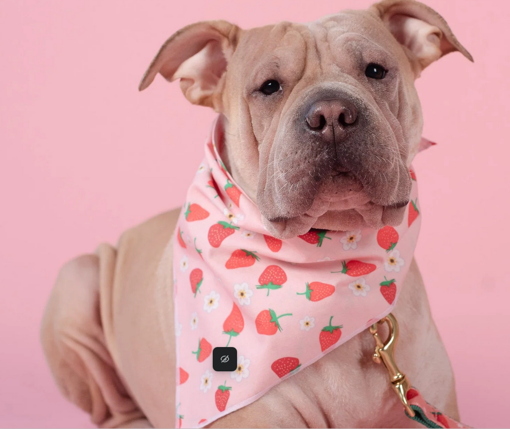 PUP BANDANAS