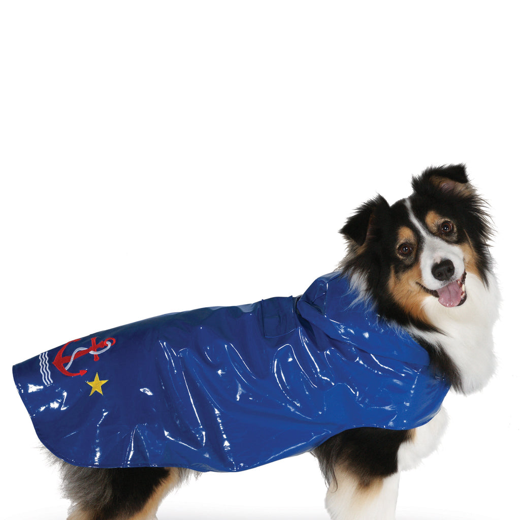 Dog wearing a blue raincoat with red and yellow accents on a white background