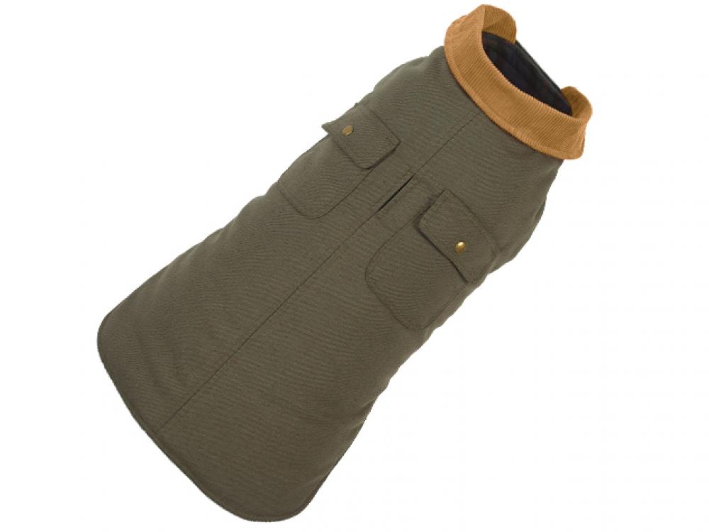 Green dog coat with brown collar on a white background