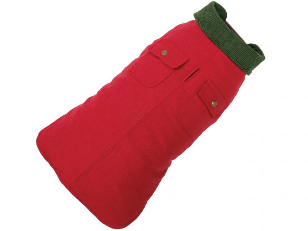 Red dog coat with green trim on a white background