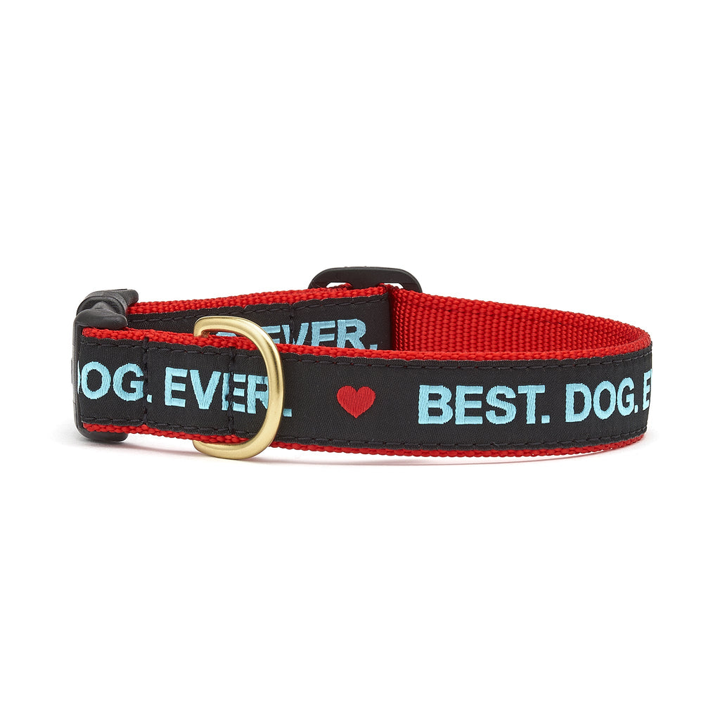 Best Dog Ever Dog Collar 