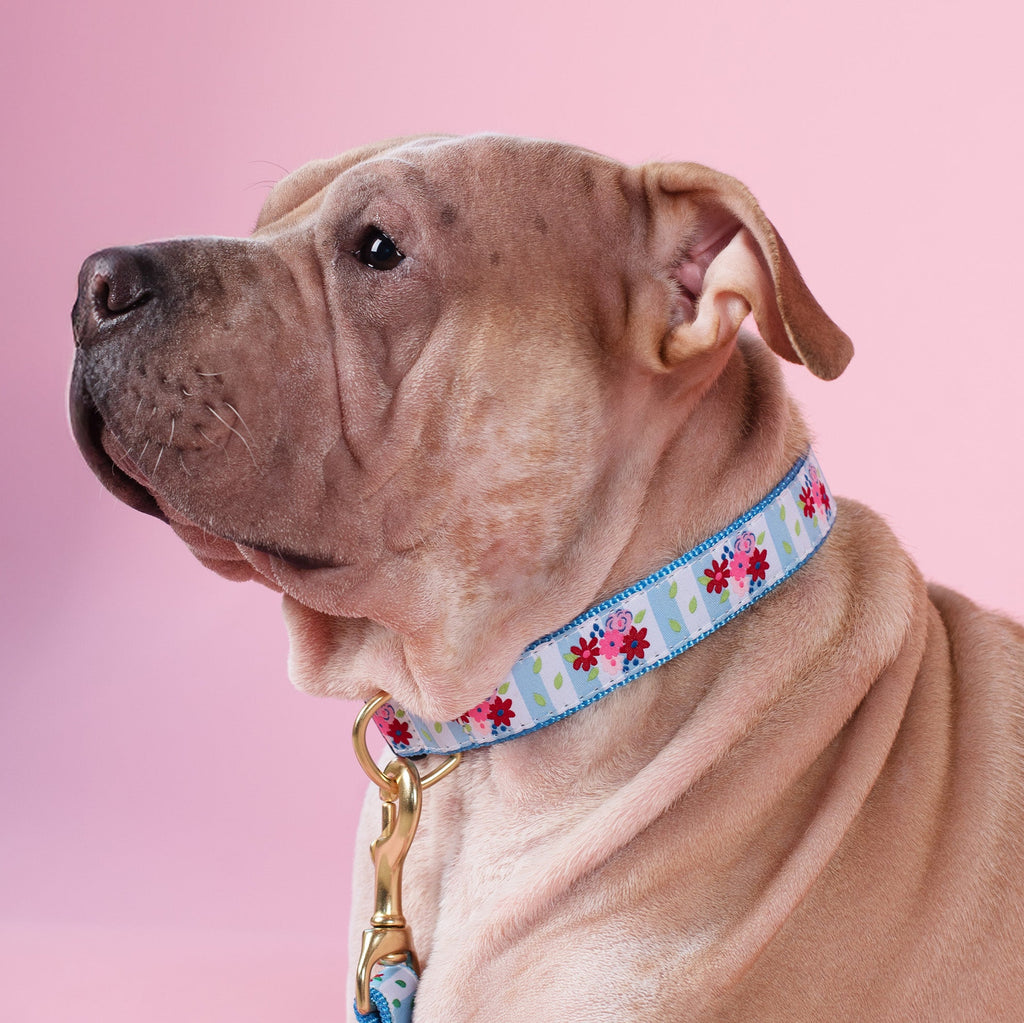 Bouquet Wide Dog Collar