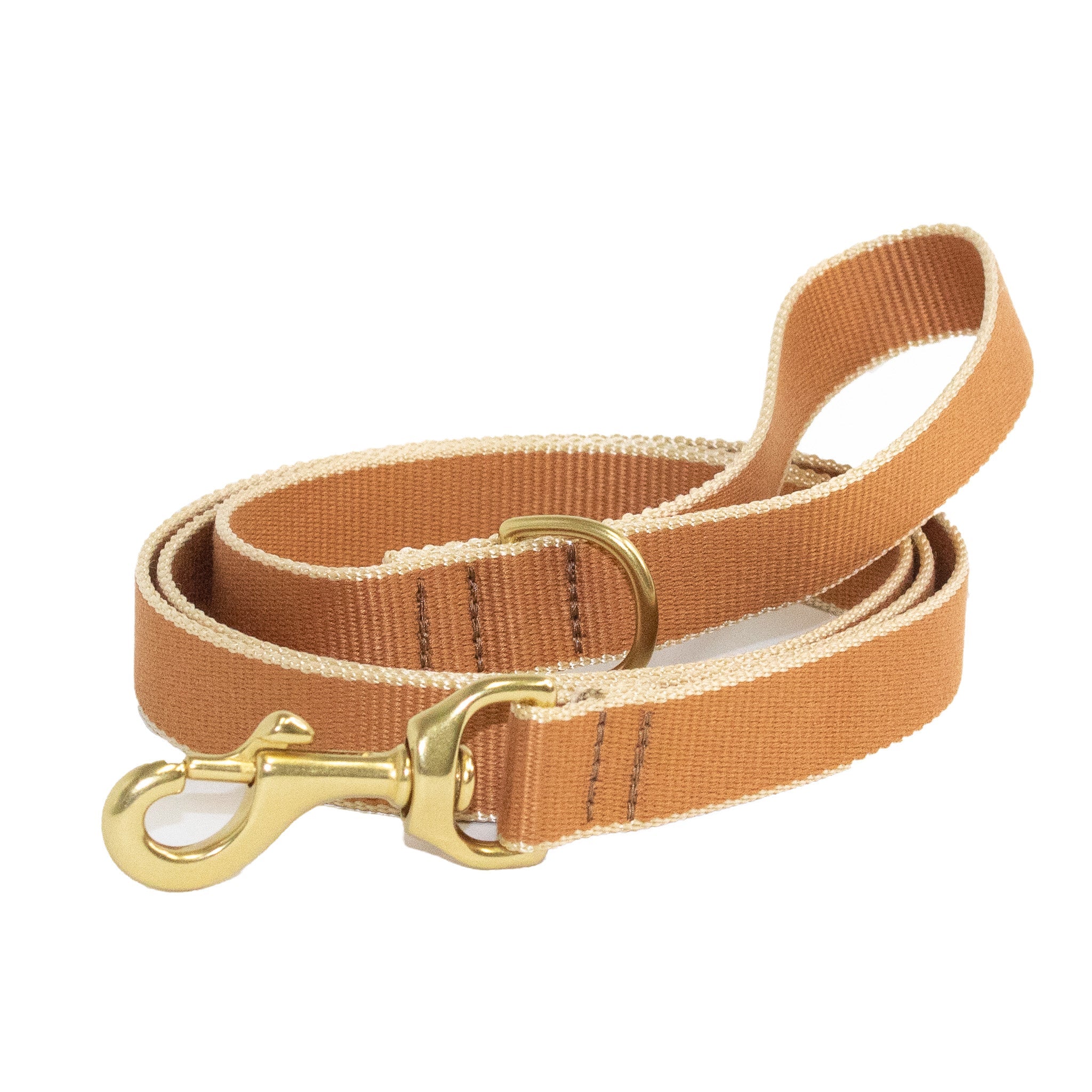 Color Market Dog Lead