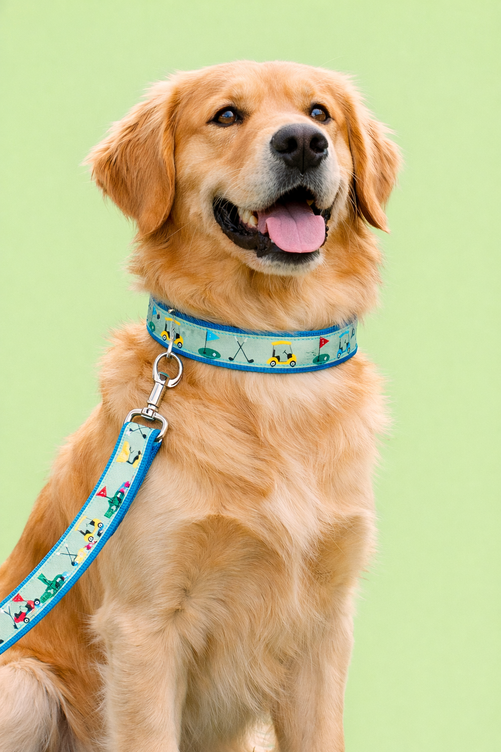 Golf Collar