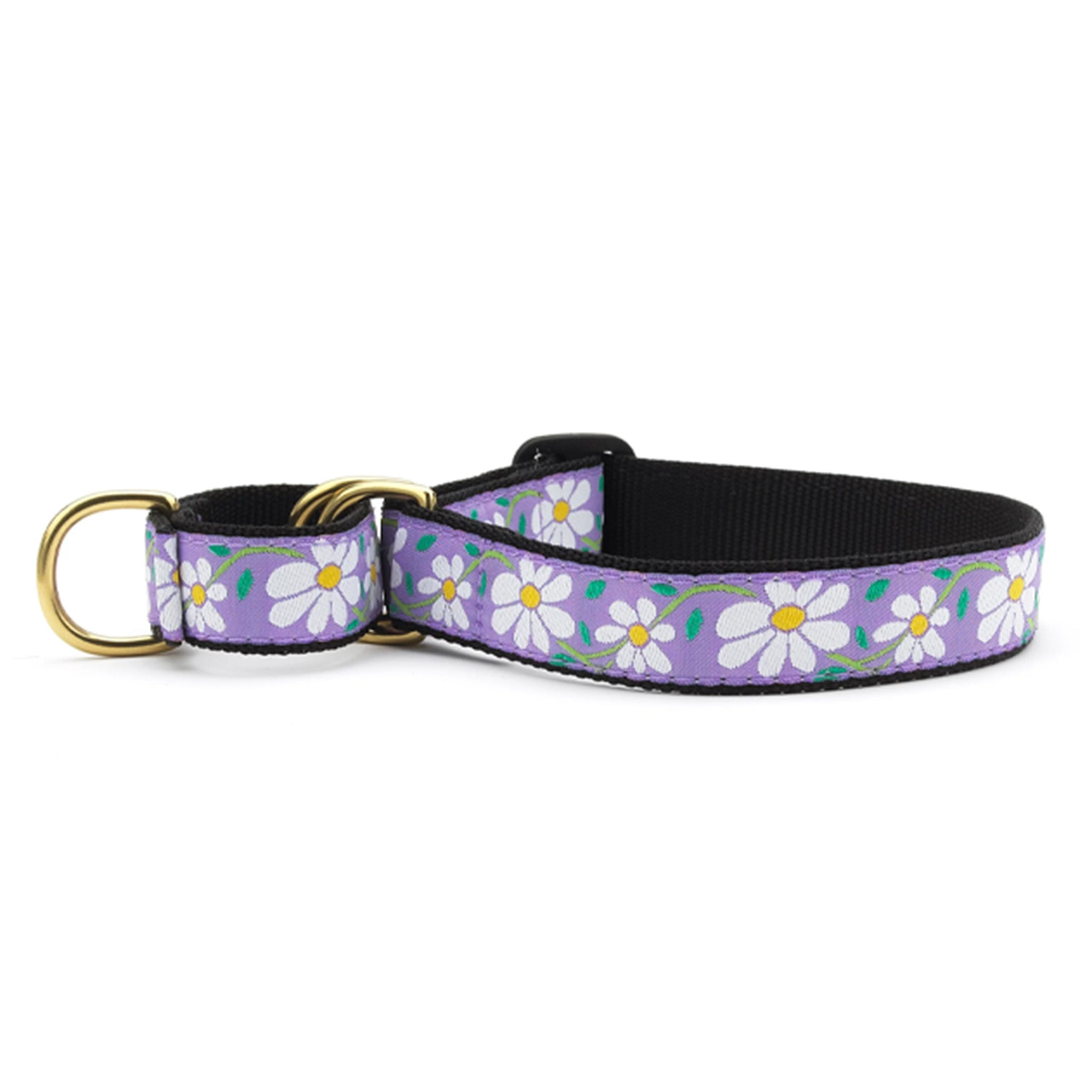 Daisy Martingale