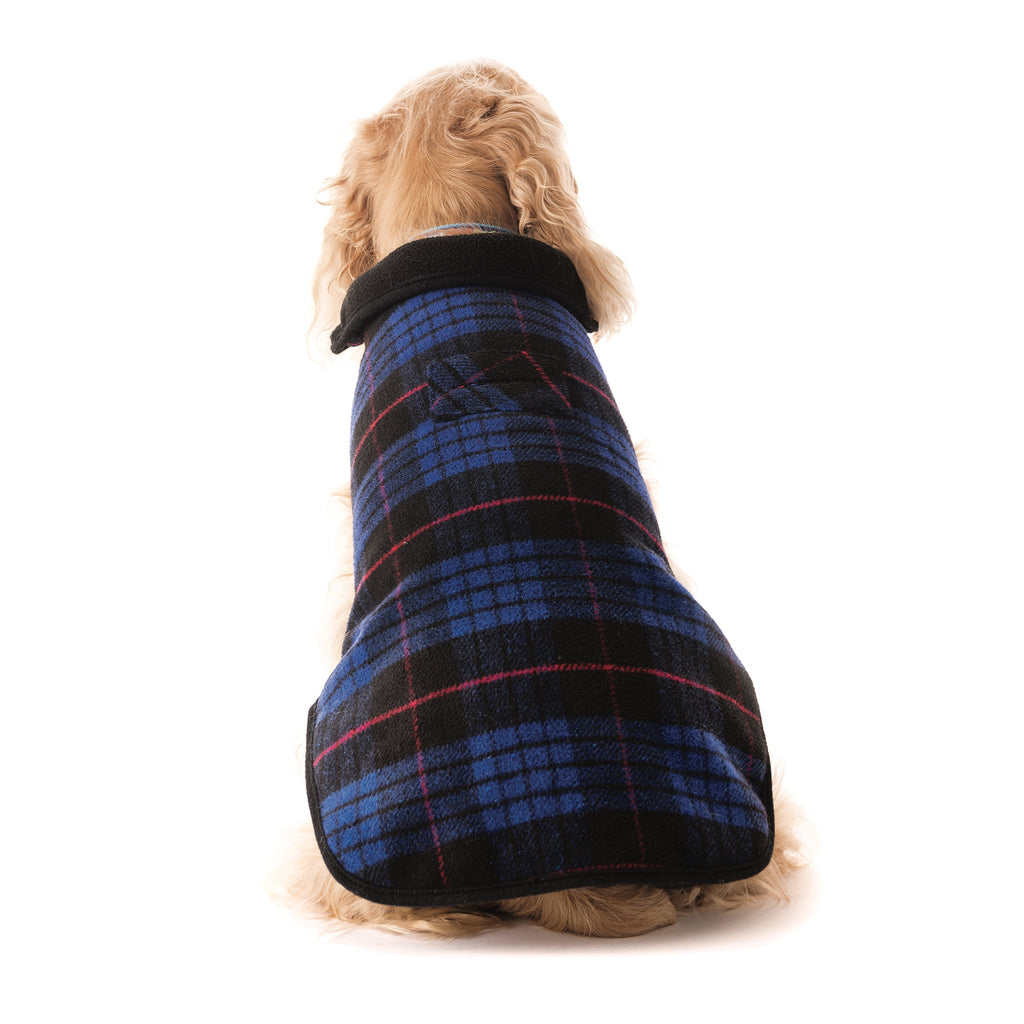 Dog wearing a blue and black plaid coat on a white background