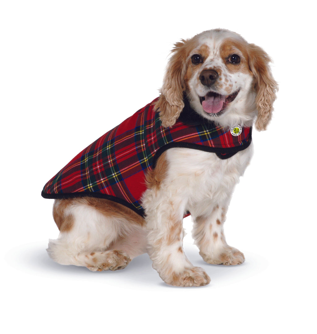Dog wearing a red plaid coat on a white background
