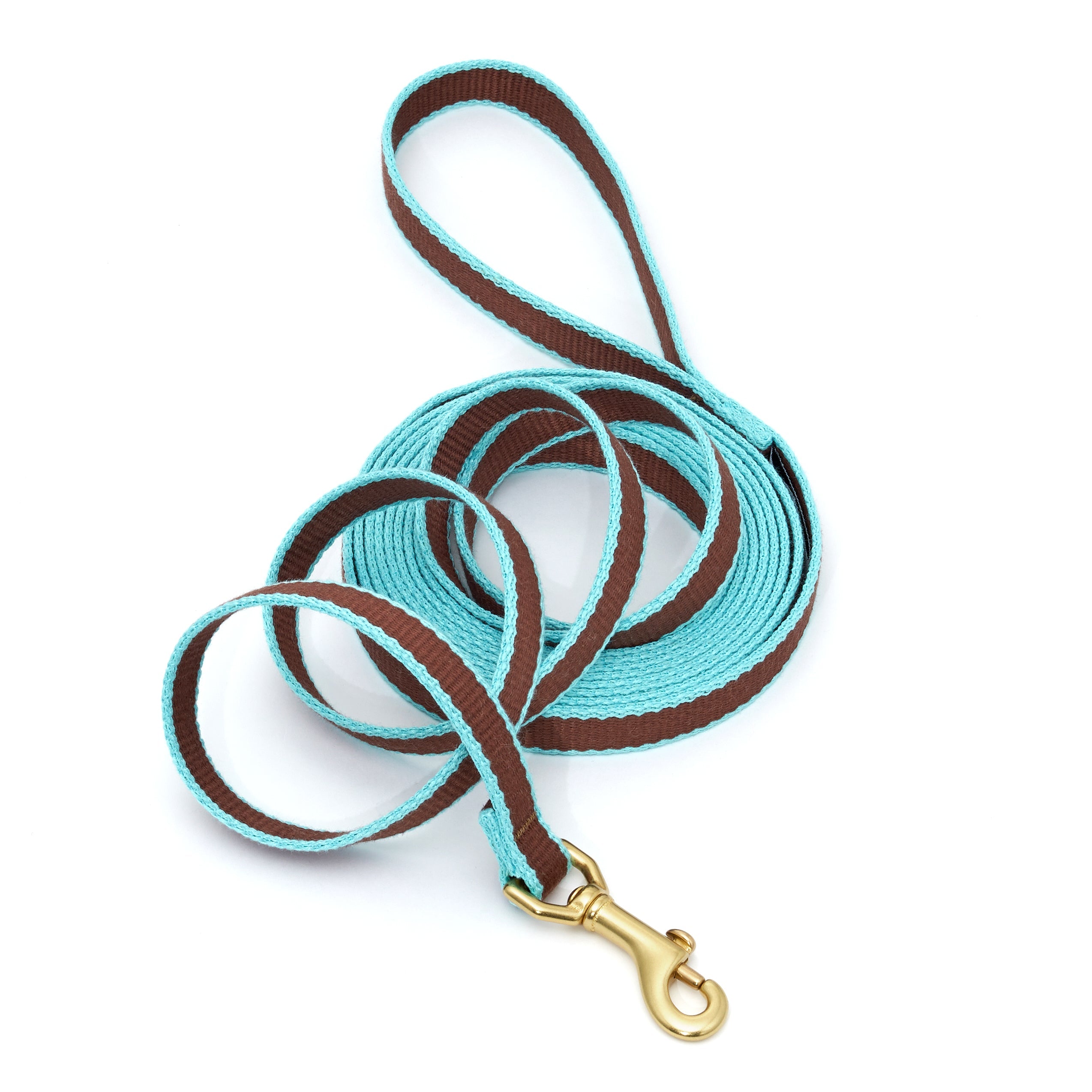 Green Market Dog and Puppy Training Lead