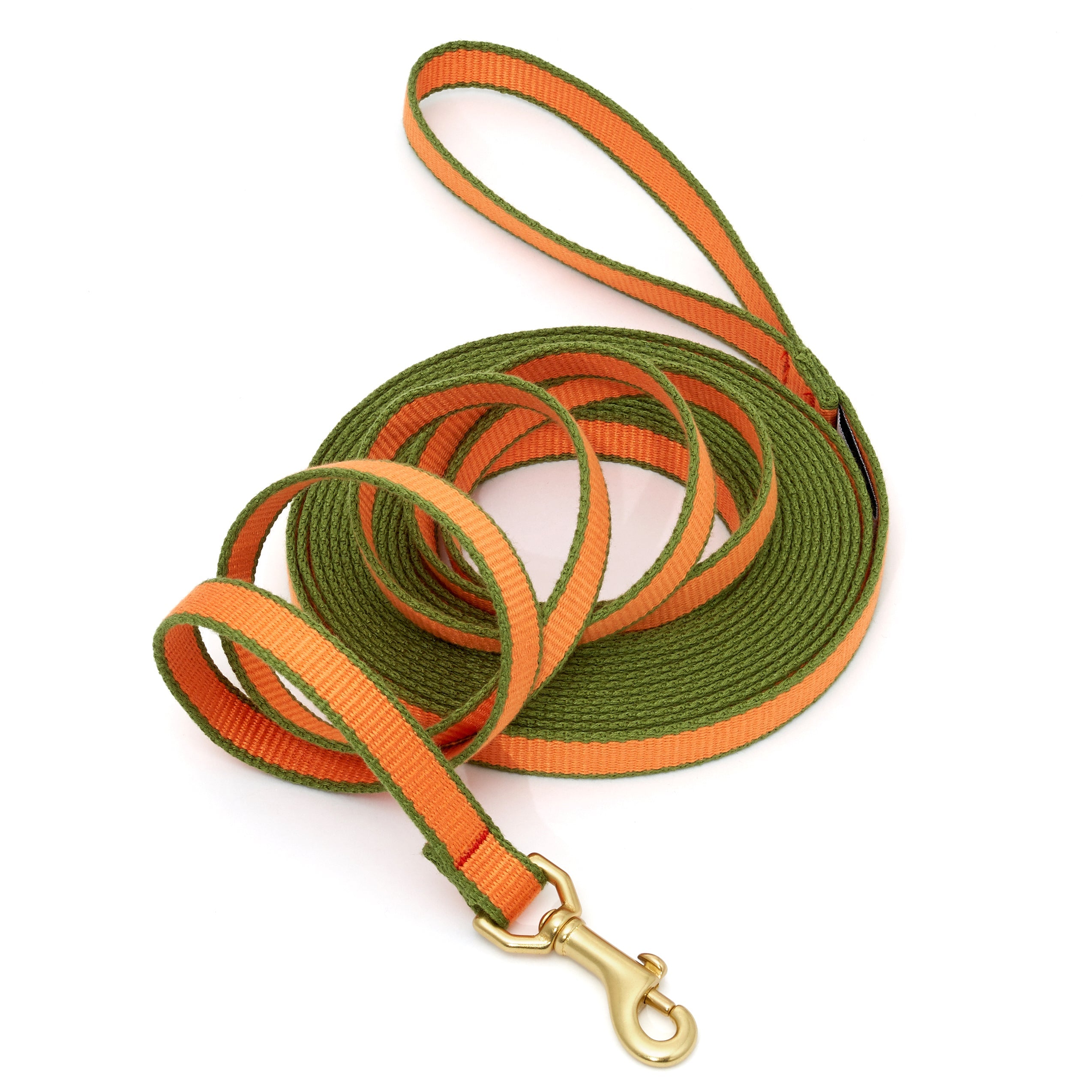 Green Market Dog and Puppy Training Lead