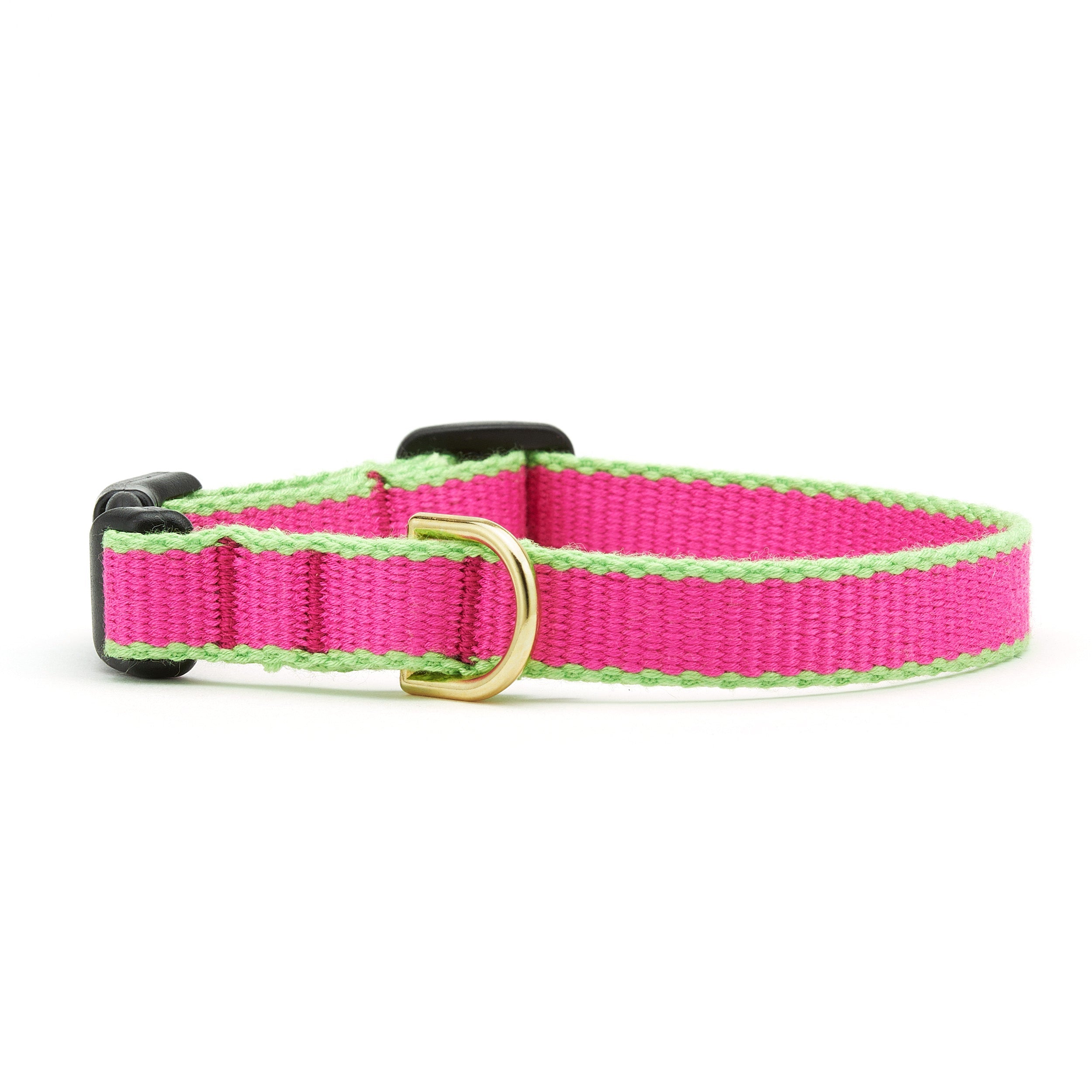 Color Market Dog Collar - Small Breed