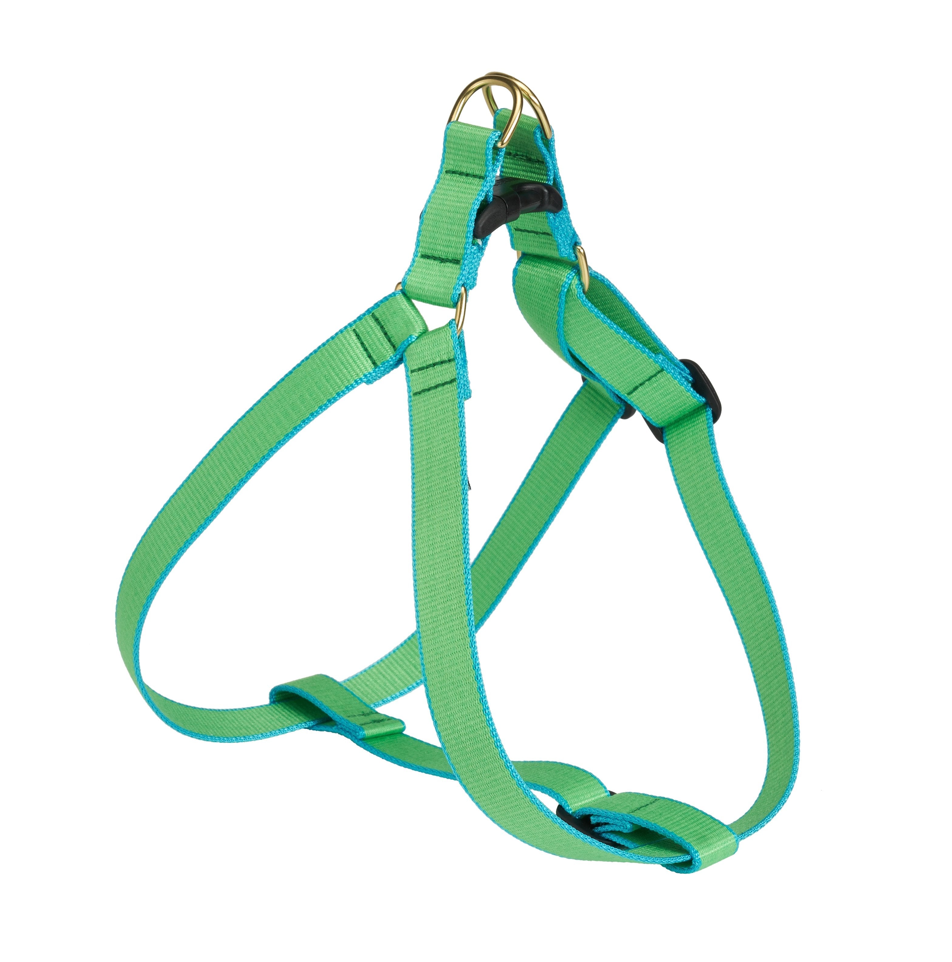 Color Market Dog Harness