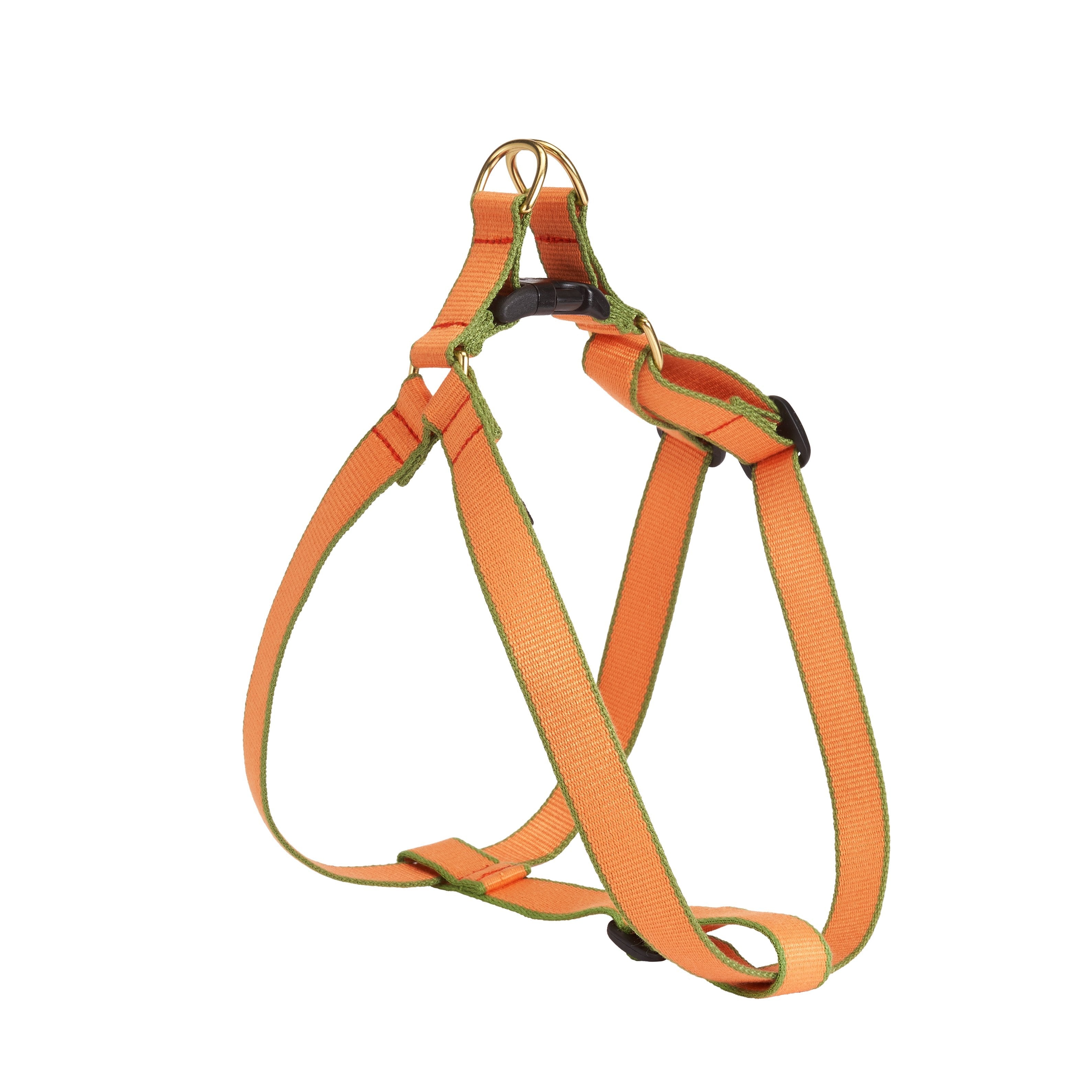 Color Market Dog Harness