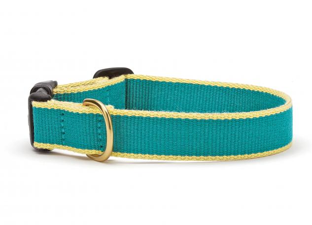 Color Market Dog Collar - Narrow