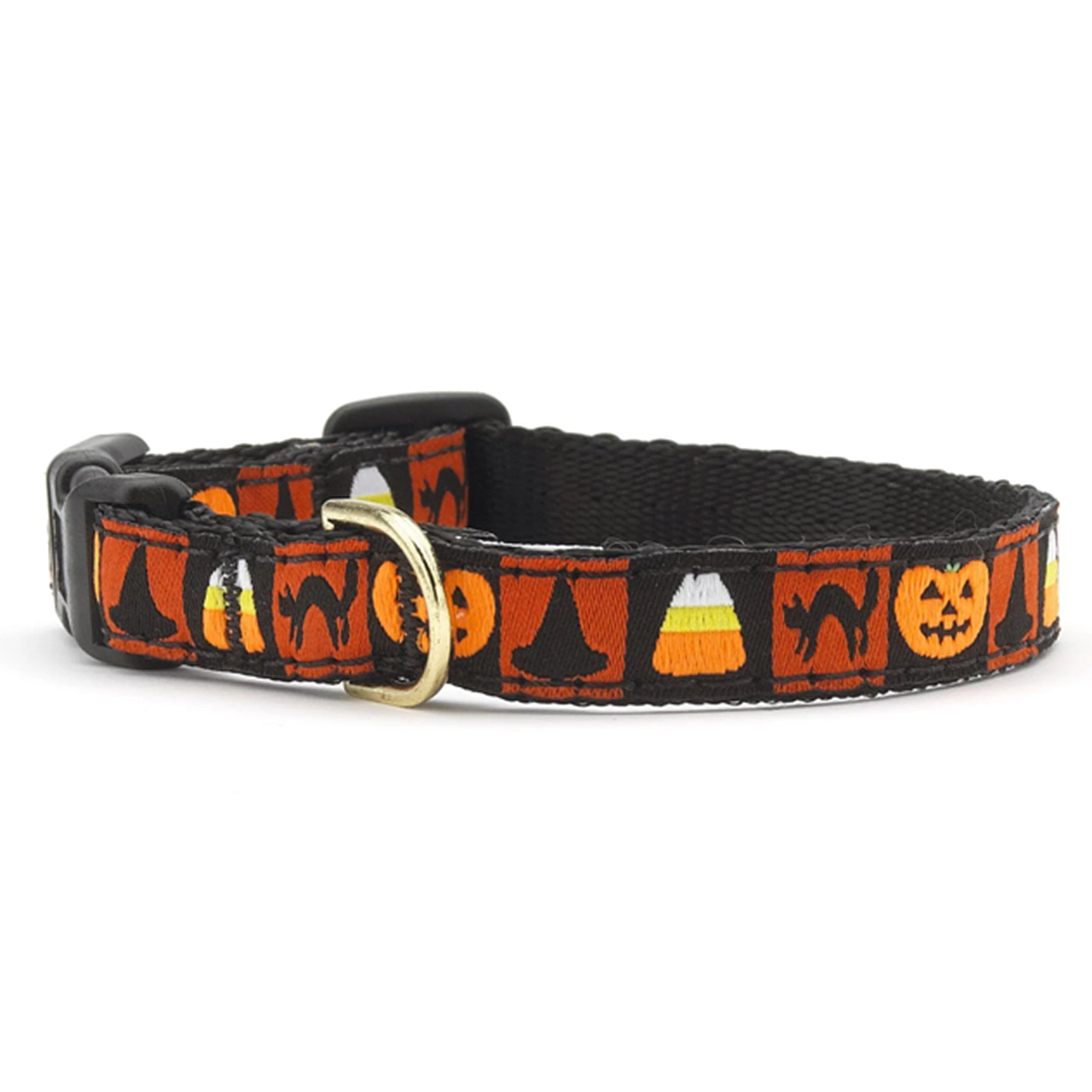 Halloween Small Breed Dog Collar