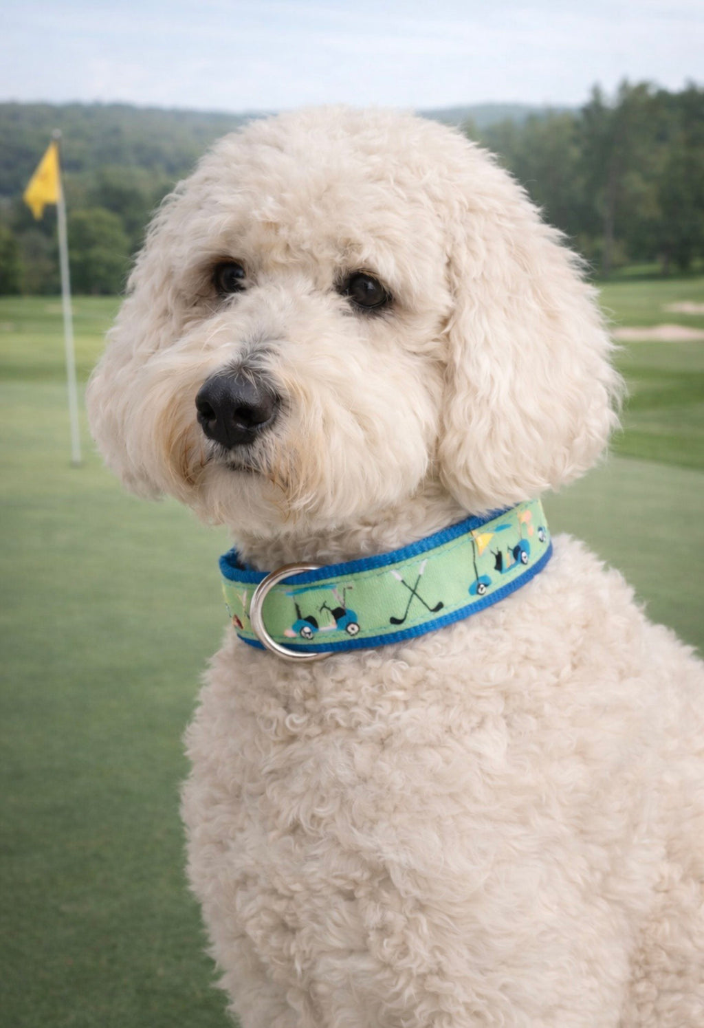 Golf Collar