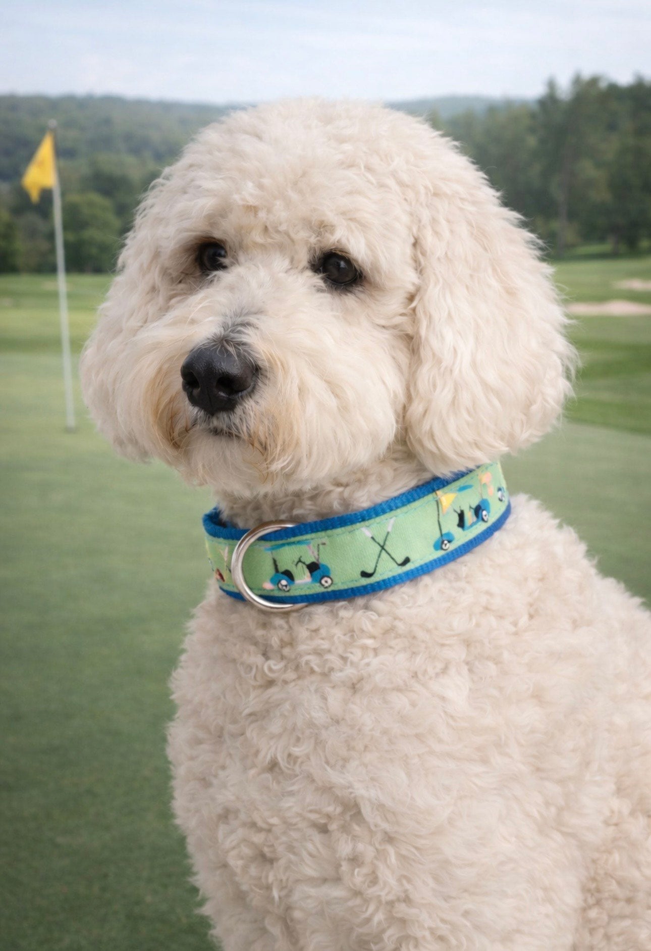 Golf Collar