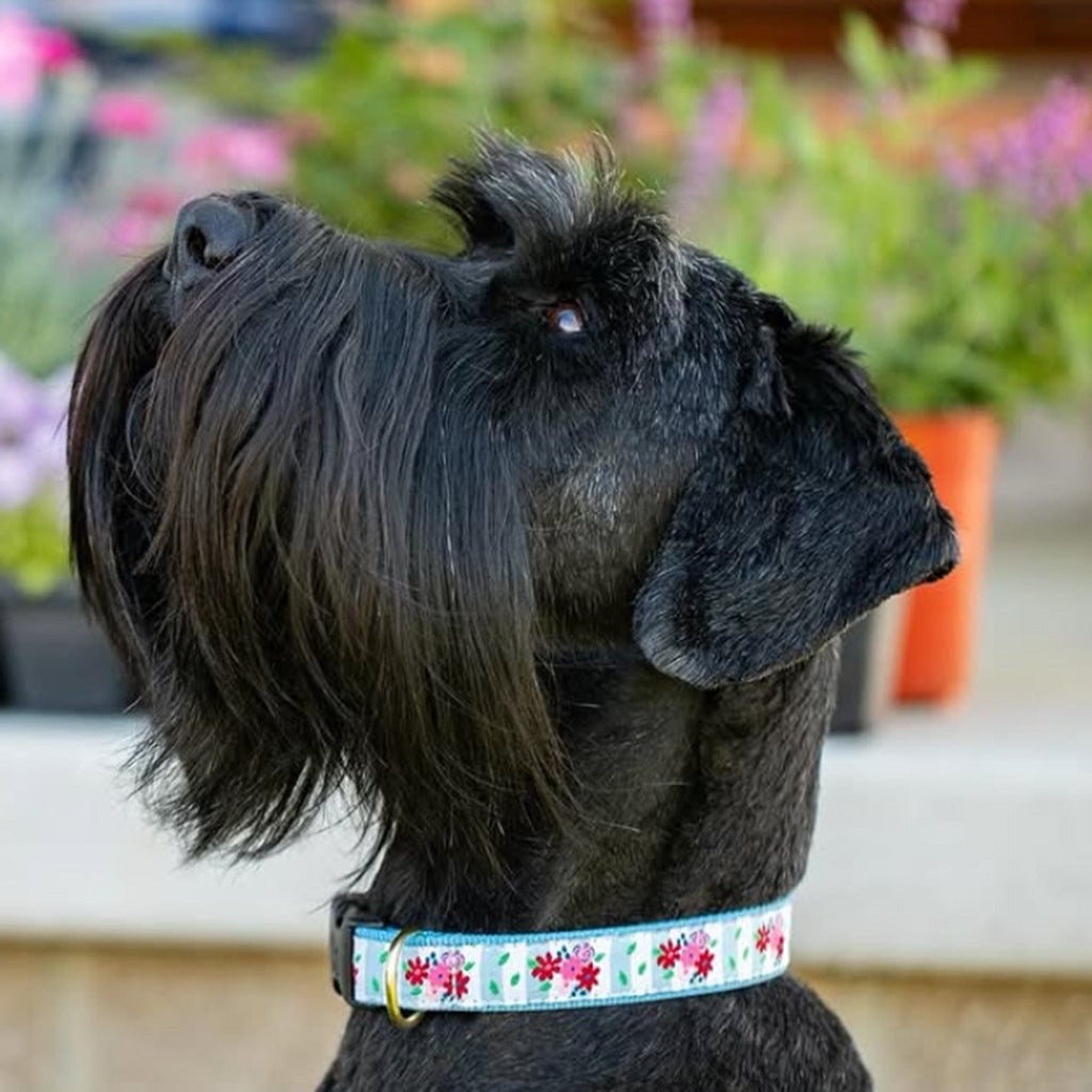 Bouquet Wide Dog Collar