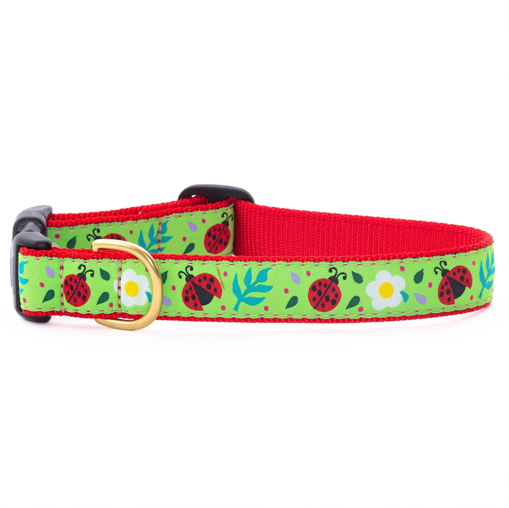 Ladybugs Wide Dog Collar
