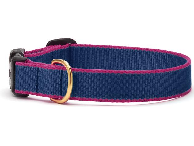 Color Market Dog Collar - Narrow