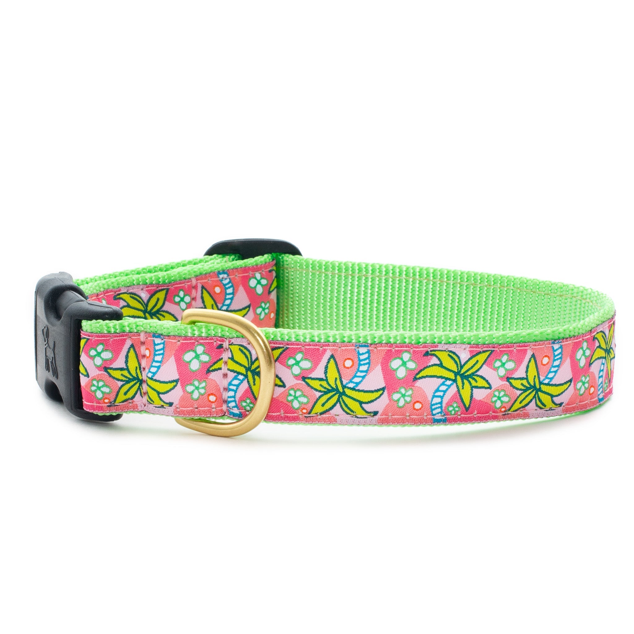 Dog collar with pink and green floral pattern on a white background