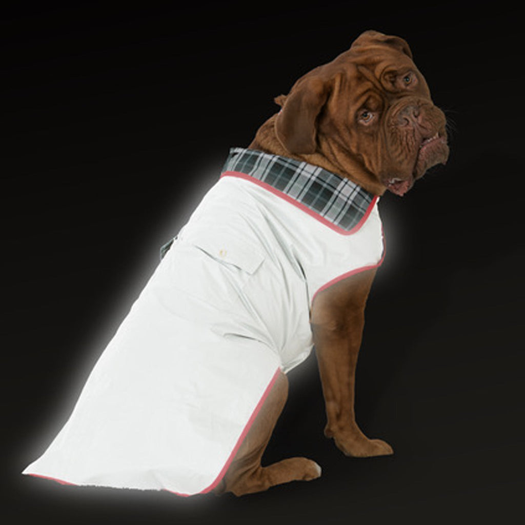 Dog wearing a reflective outfit with plaid trim on a black background
