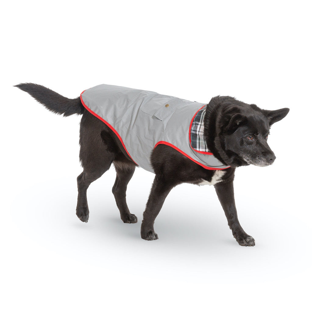 Dog wearing a gray coat with plaid lining on a white background