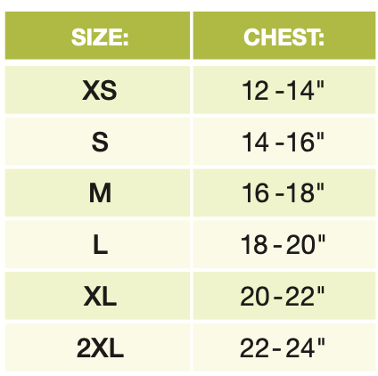 Lime and Aqua Small Dog Vest Harness