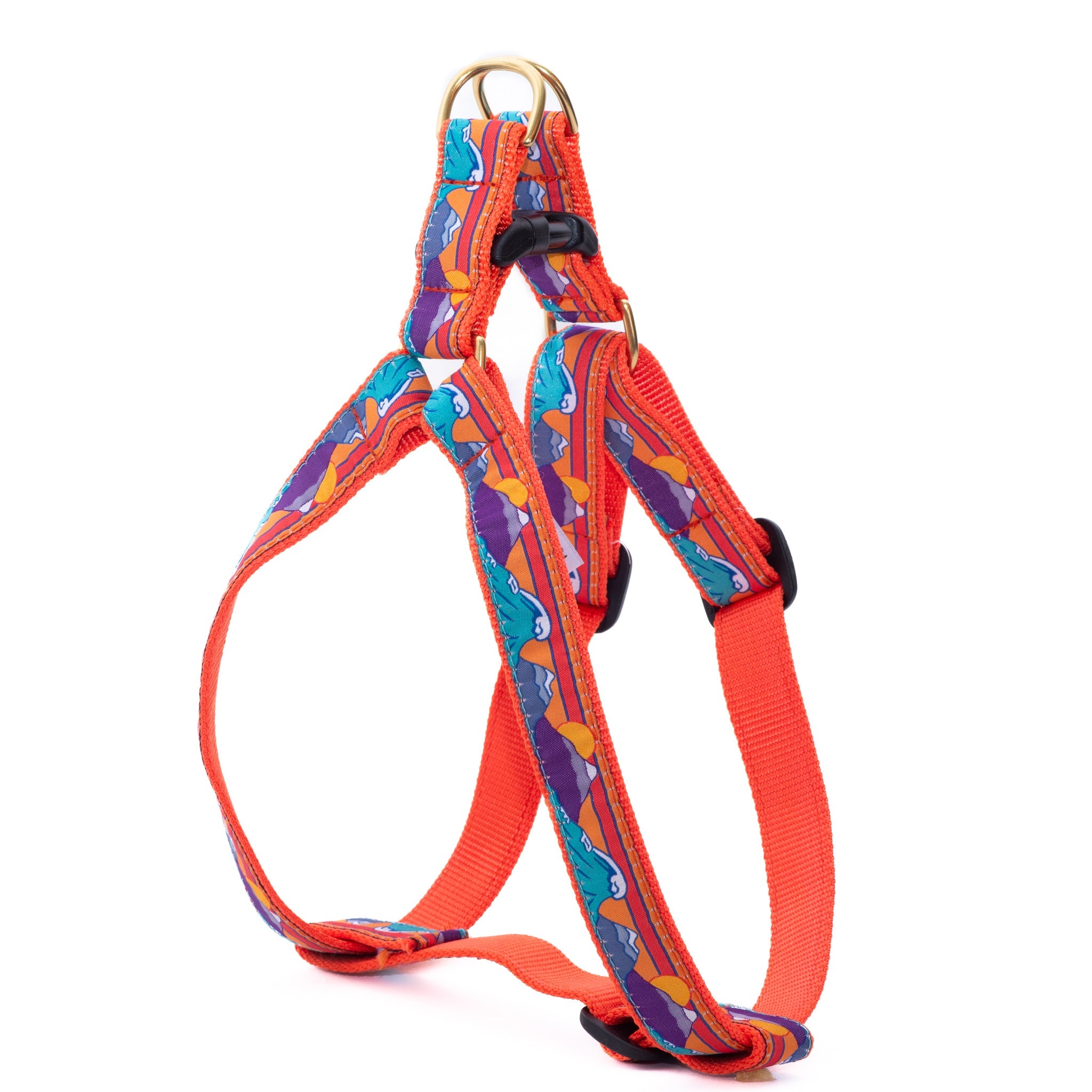 Ski and Surf Dog Harness