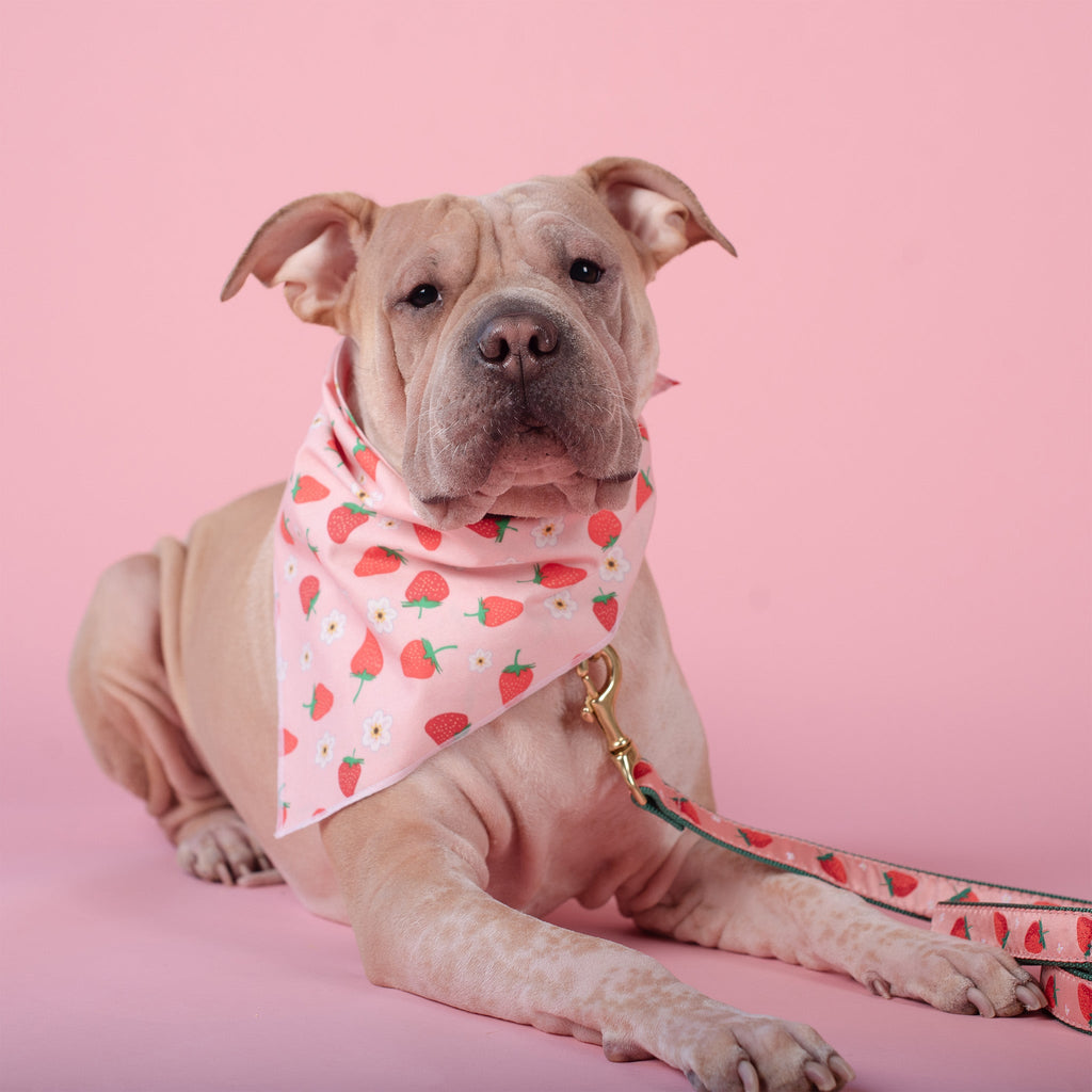 Strawberry Bandana
