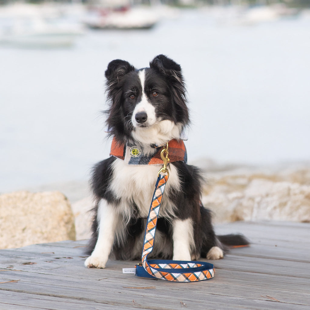 Terracotta Plaid Dog Lead