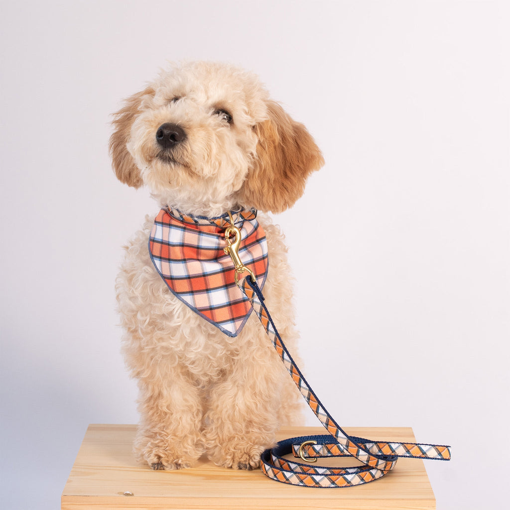 Terracotta Plaid Bandana