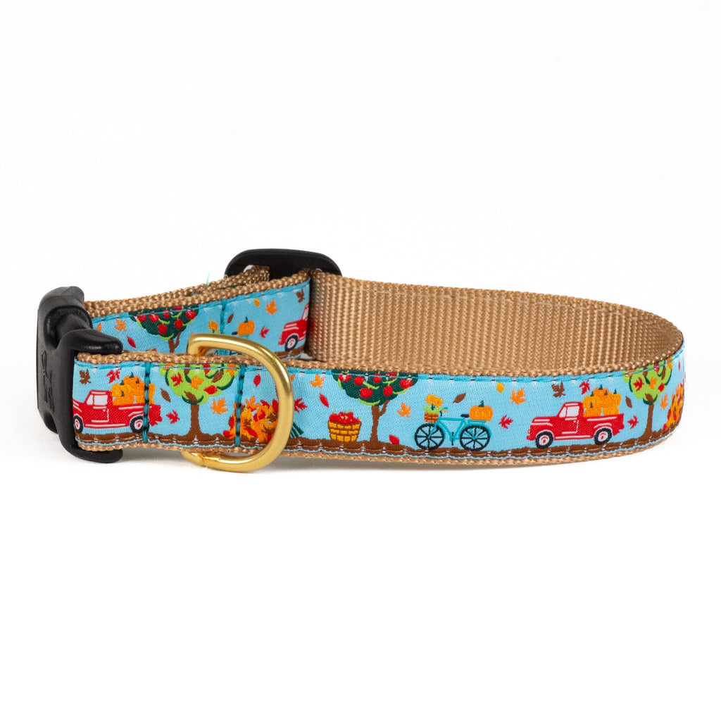 To the Orchard Wide Dog Collar