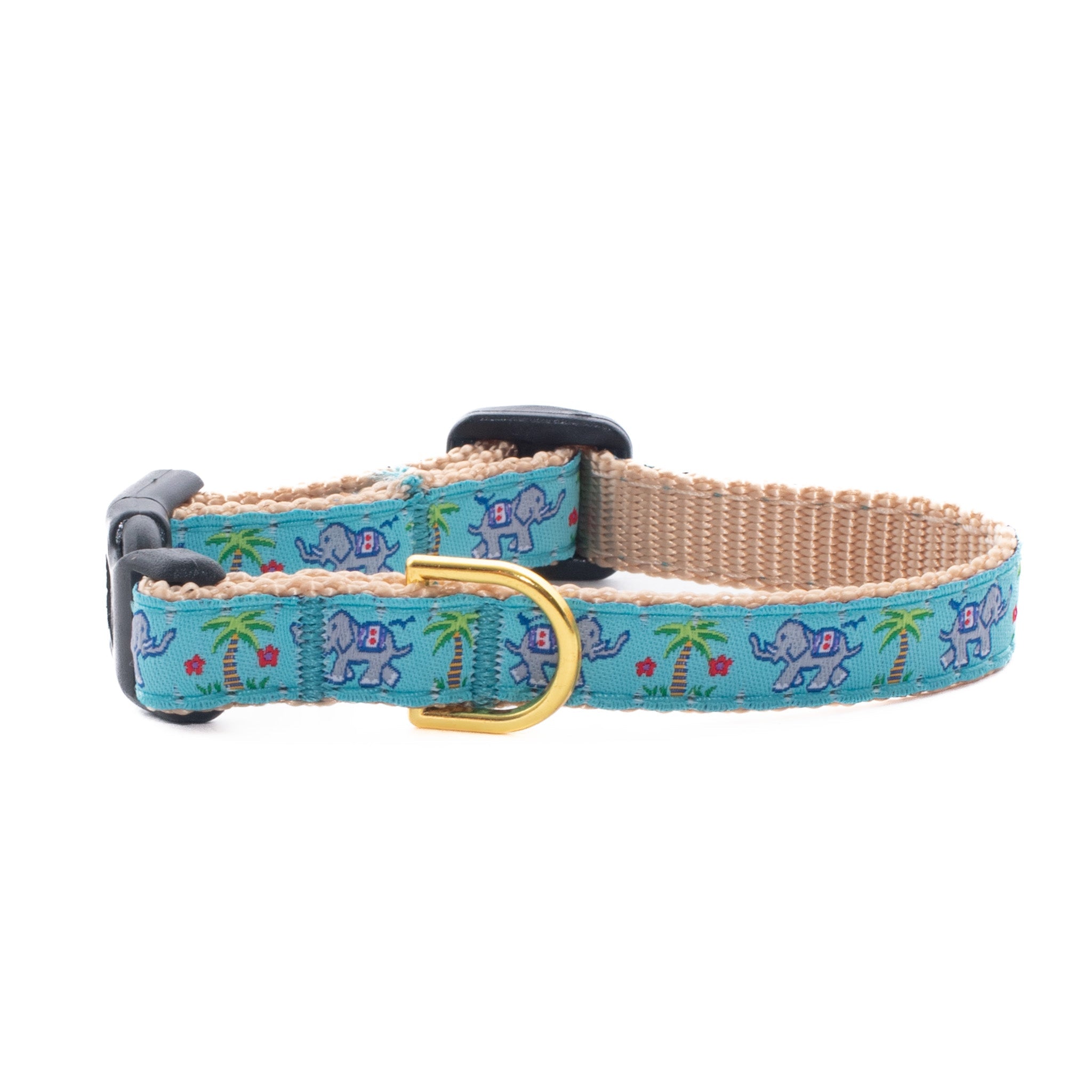 Trunk Show Small Breed Dog Collar