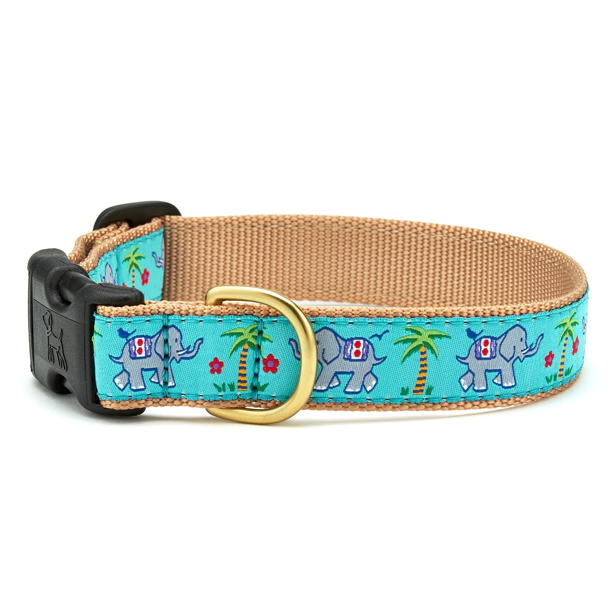 Trunk Show Wide Dog Collar