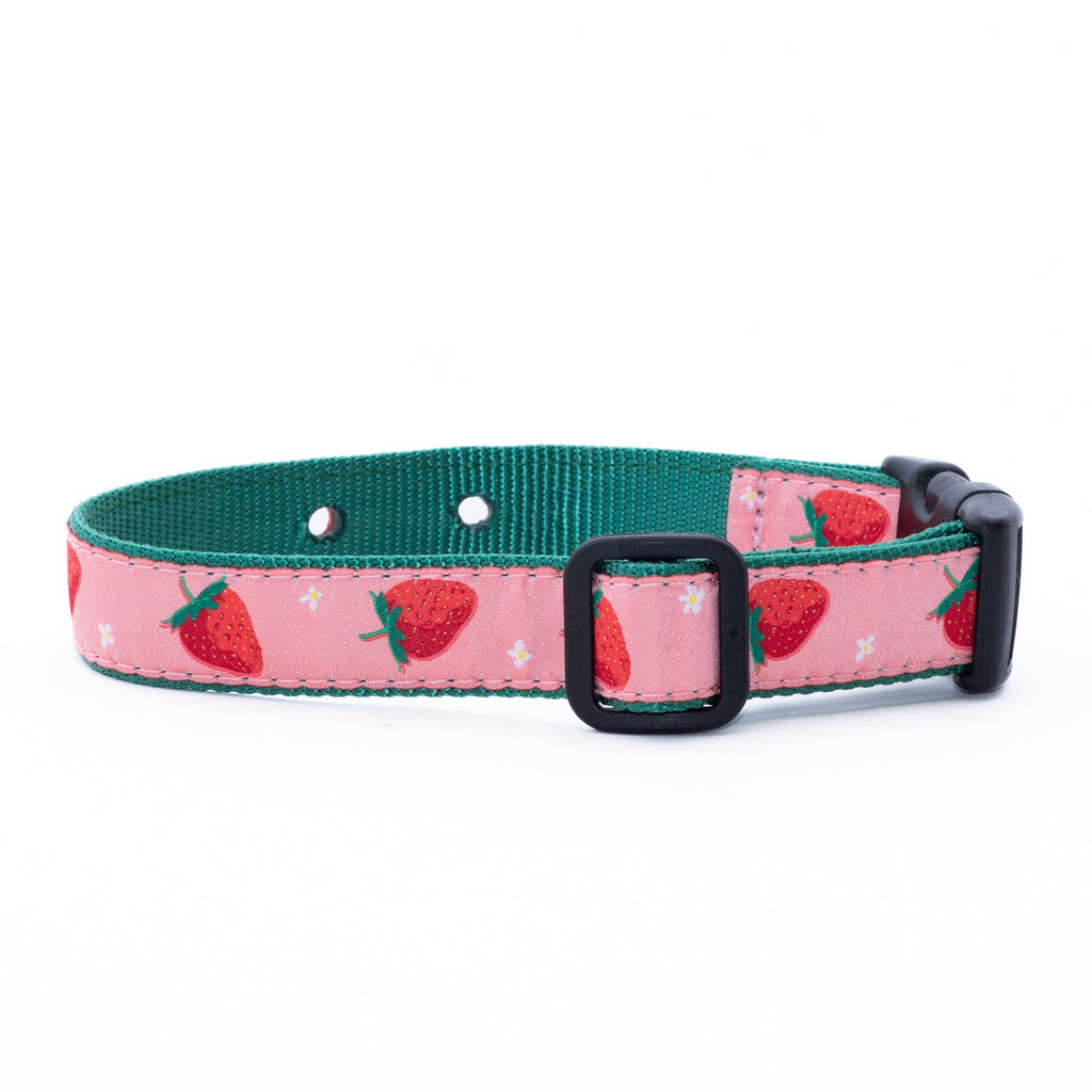 Underground Fence Dog Collar - Strawberry Fields