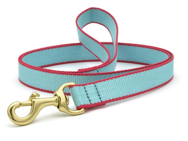 Color Market Dog Lead