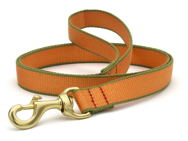 Color Market Dog Lead