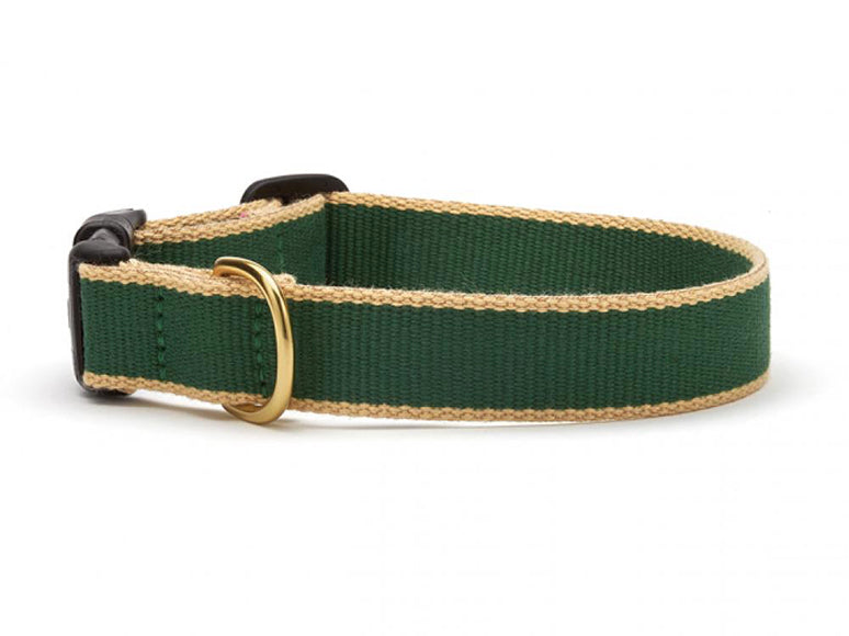Color Market Dog Collar - Narrow